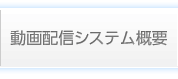 動画配信システム