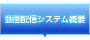 動画配信システム
